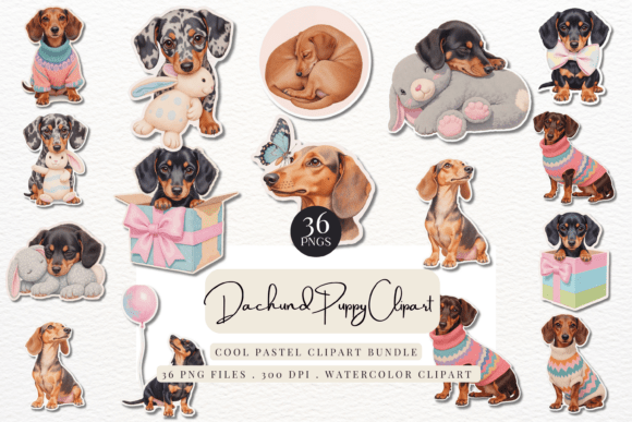 Download Cute Dachshund Puppy - Puppy Collection
